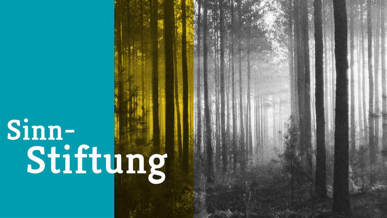 Sinnstiftung Sinnstiftung